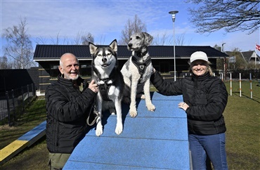 Fra hundeskov til bryllupsrejse med Nova og Oskar