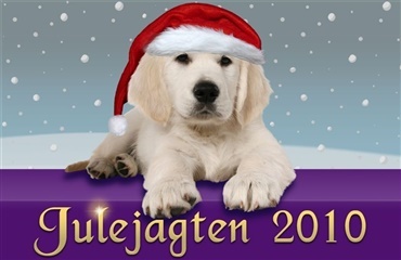 1. december går julejagten ind på hunden.dk