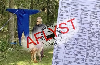 Mentalbeskrivelse aflyst i varmen