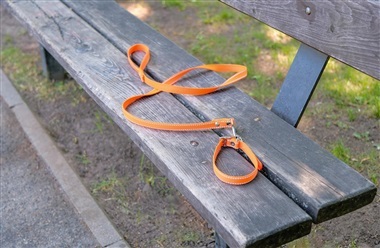 Hvad g&oslash;r man, hvis hunden l&oslash;ber v&aelig;k?