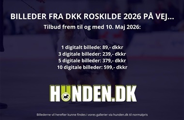 NYHED: Stort tilbud p&aring; billeder fra Roskilde