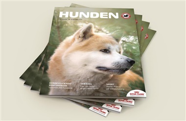 Gl&aelig;d dig – et spritnyt nummer af HUNDEN er landet!