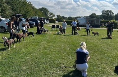 Hundematch blev en k&aelig;mpe succes p&aring; Boeslunde Camping