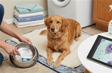 Pas p&aring; Giardia: Den usynlige mavefjende lurer