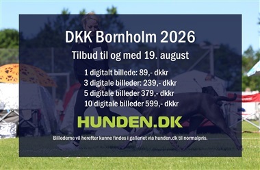 Alle billeder fra Bornholm er online