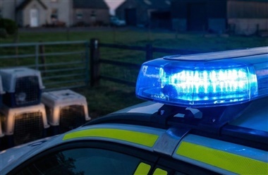 Ransagning i Ribe: 58-&aring;rig kvinde sigtet efter fund af over 50 hunde