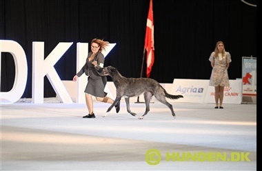 Har du set alle billederne?