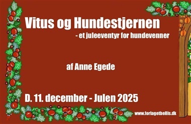 Vitus og hundestjernen - 11. December