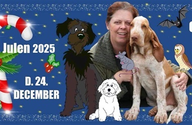 Vitus og hundestjernen - 24. December