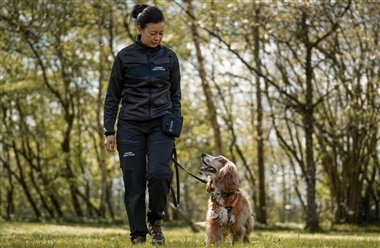 Guide: S&aring;dan f&aring;r du og din hund den bedste tur i hundeskoven