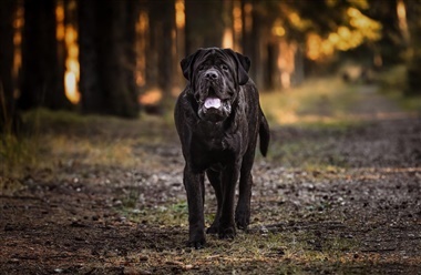Sikkerhed i m&oslash;rket