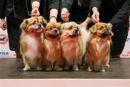 DKK udstilling Fredericia