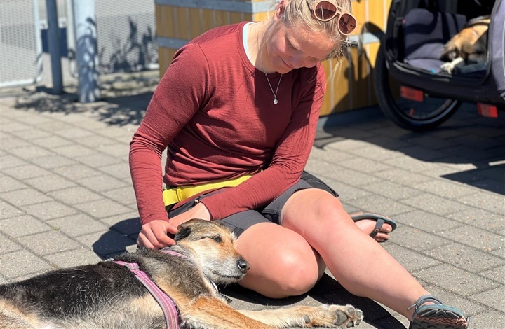 En m&aring;ned p&aring; cyklen med tre hunde