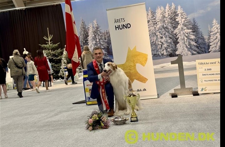 Winter Wonder Show satte punktum for et fantastisk udstillings&aring;r