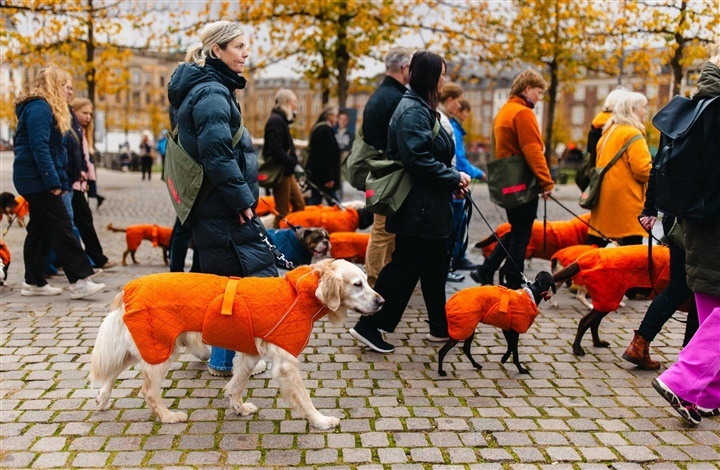 Siccaro farvede byen Orange