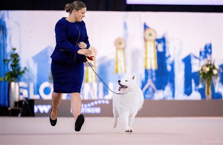 Dansk juniorhandler str&aring;lede i Slovenien