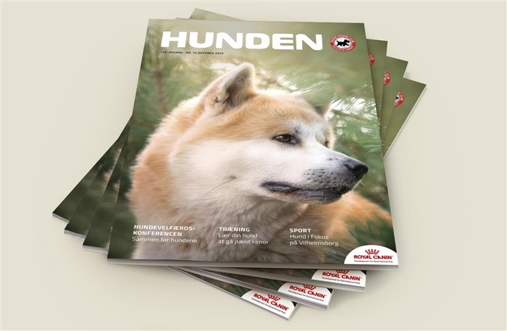 Gl&aelig;d dig – et spritnyt nummer af HUNDEN er landet!