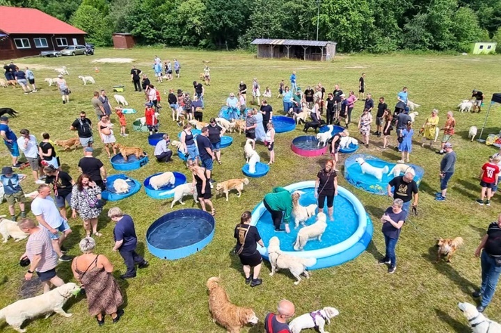 Guldbasserne fik is og vandsjov i sommersolen