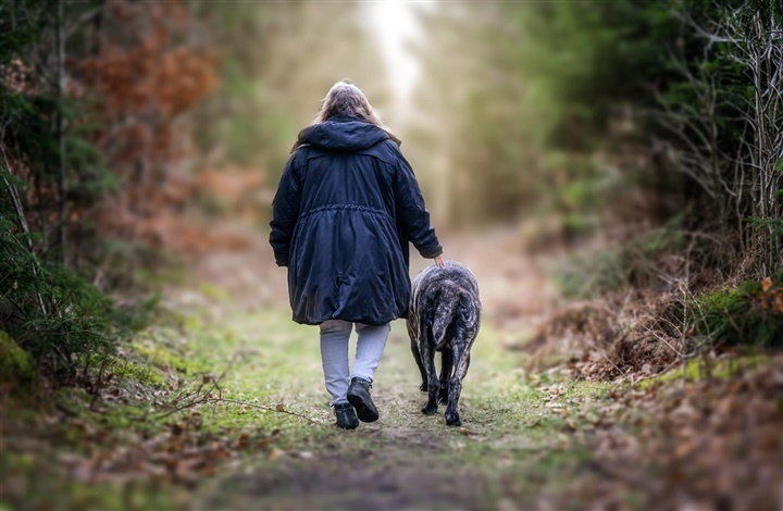 Den meditative g&aring;tur