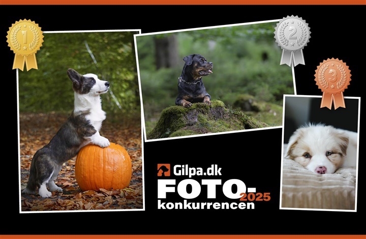 Vinderne er fundet – Vil du deltage i december m&aring;neds konkurrence?