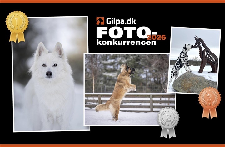 Vinderne af fotokonkurrencen er fundet