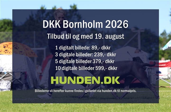 Alle billeder fra Bornholm er online