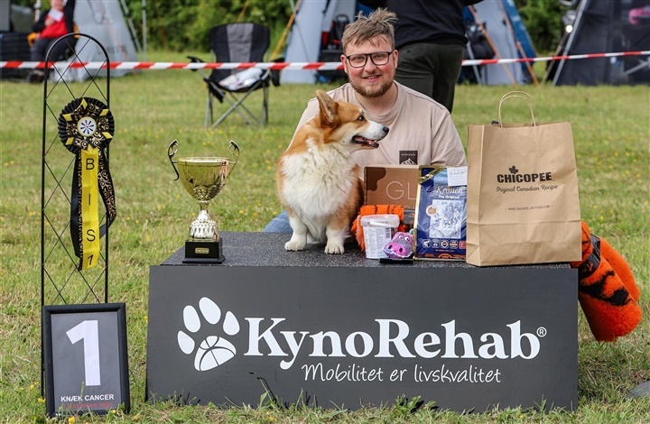 Hundefolket samler ind til Kn&aelig;k Cancer