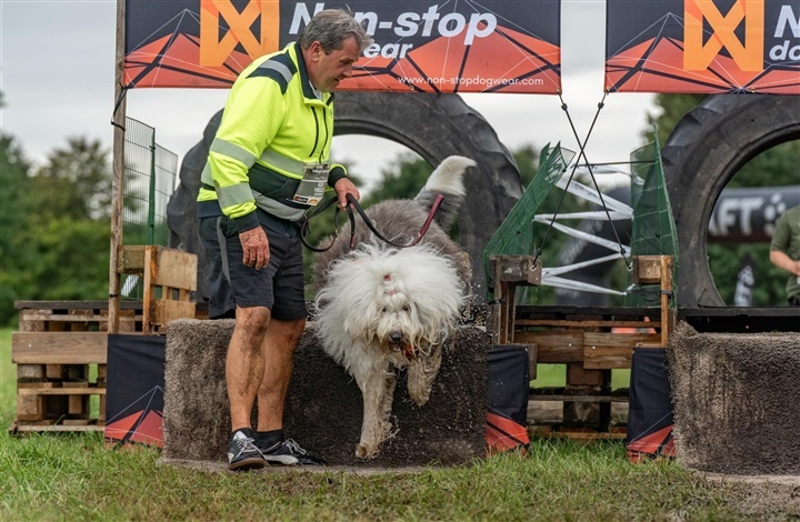 K9 Biathlon for Alle: Fire dage med plads til alle