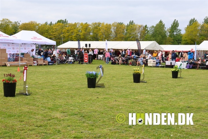 Nu er billederne fra Roskilde online 