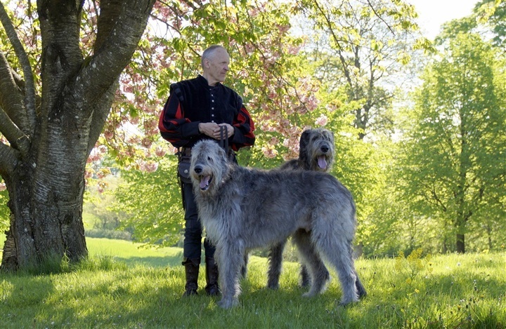 GIUM og de irske ulvehunde