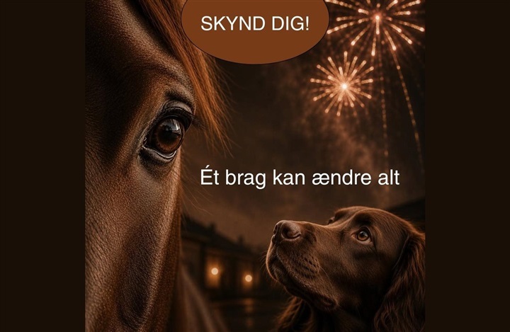 Fyrv&aelig;rkeriforslag mangler underskrifter