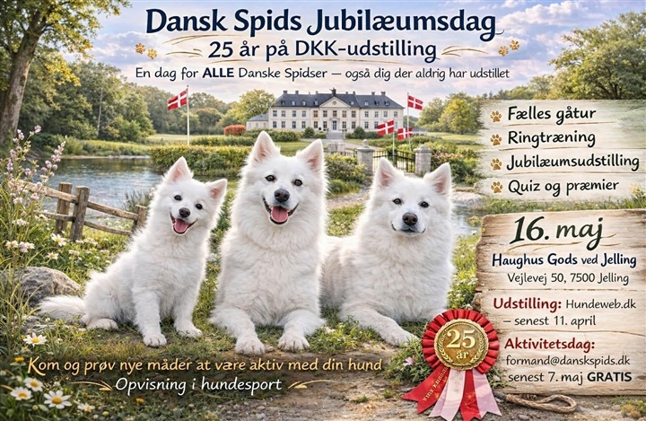 25 &aring;r med udstilling af Dansk Spids