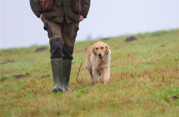 Del 1: Hunden som kulturhistorisk symbol