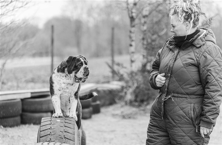 Susan skaber sundhed i Mathiesens HundeFokus