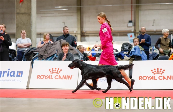 Galleri: Se de placerede juniorhandlere fra Fredericia