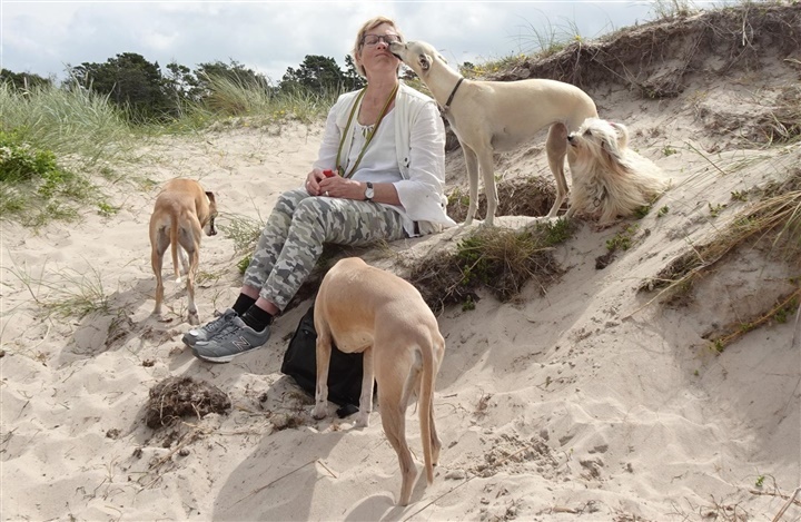 Et liv med hunde fra barndomsdr&oslash;m til virkelighed