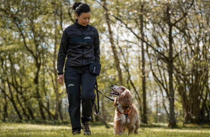 Guide: S&aring;dan f&aring;r du og din hund den bedste tur i hundeskoven