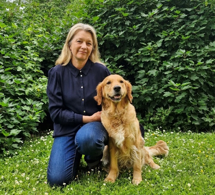 Forskning: Minimerer stress og smerter hos hunde og ejere