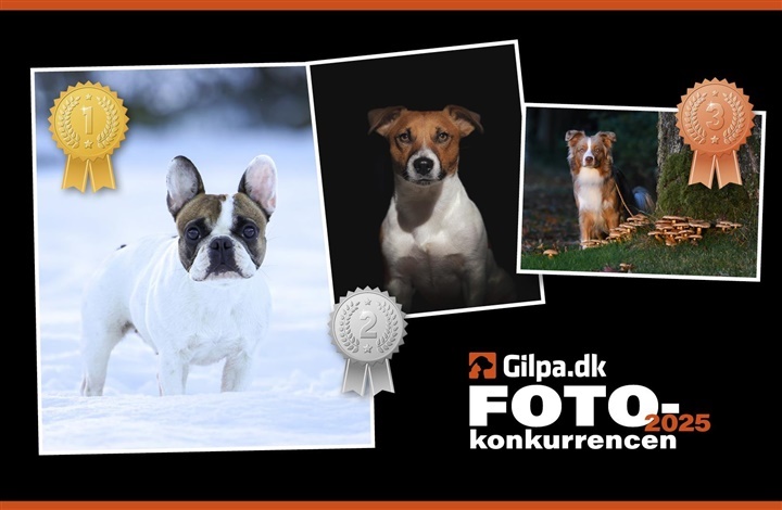 Vinderne i december er fundet