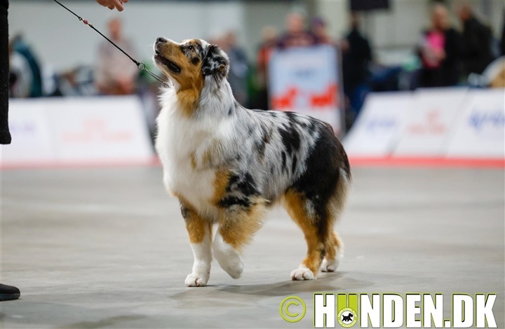 Galleri fra Fredericia: Gruppevinderne