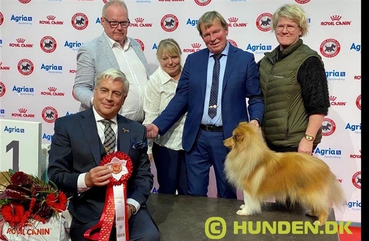 En festlig l&oslash;rdag i Herning